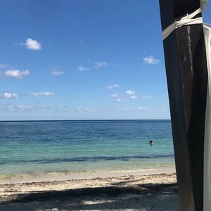 Meet your Posher, Sissy